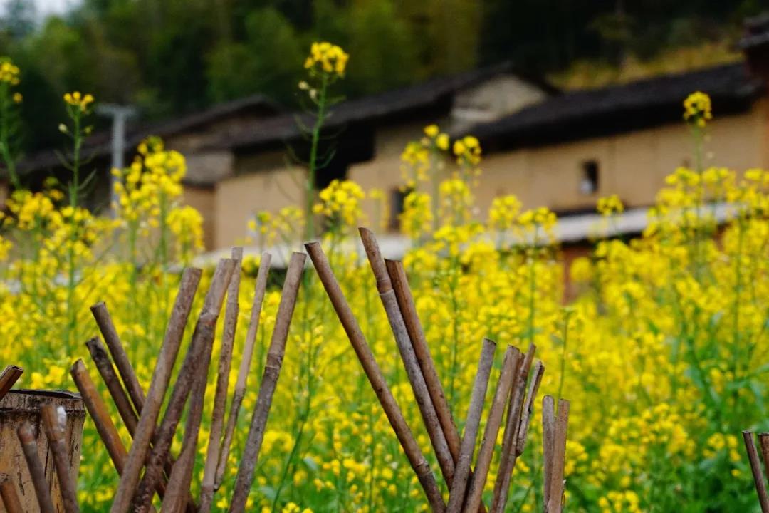 微信图片_20190515142821.jpg
