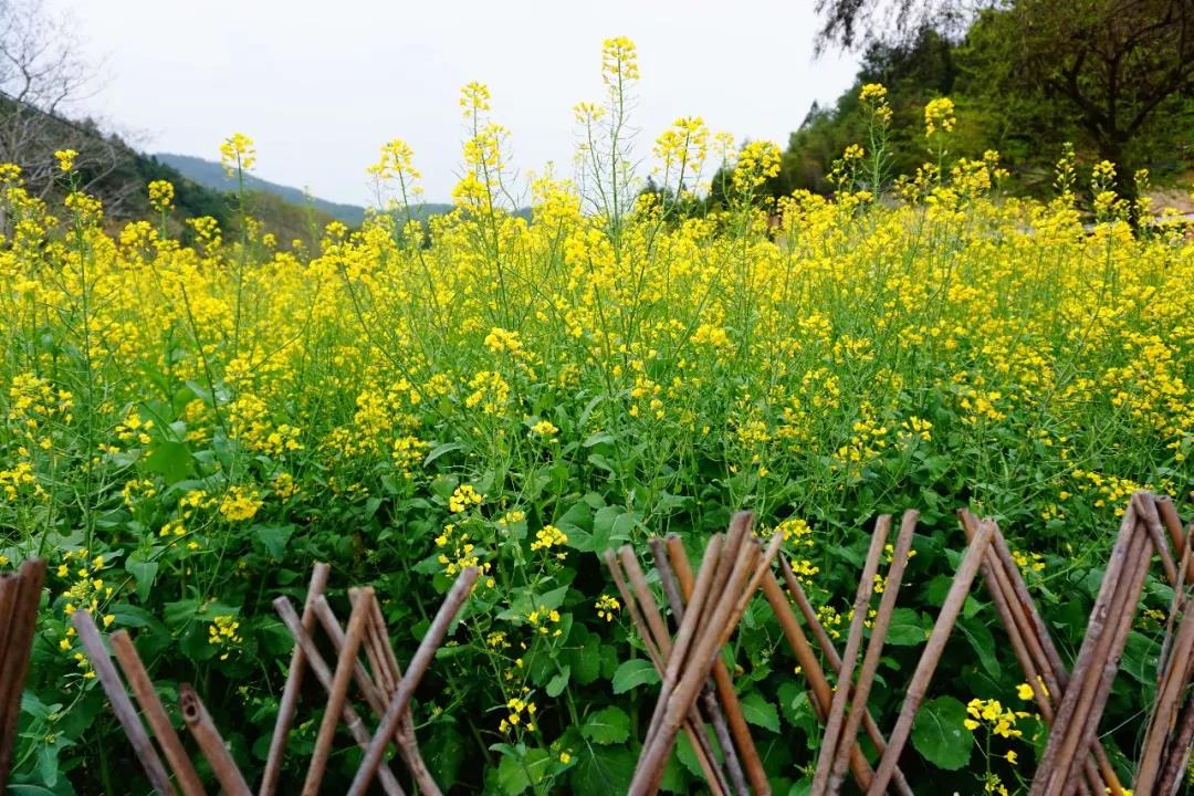 微信图片_20190515142907.jpg